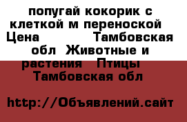 попугай кокорик с клеткой м переноской › Цена ­ 1 000 - Тамбовская обл. Животные и растения » Птицы   . Тамбовская обл.